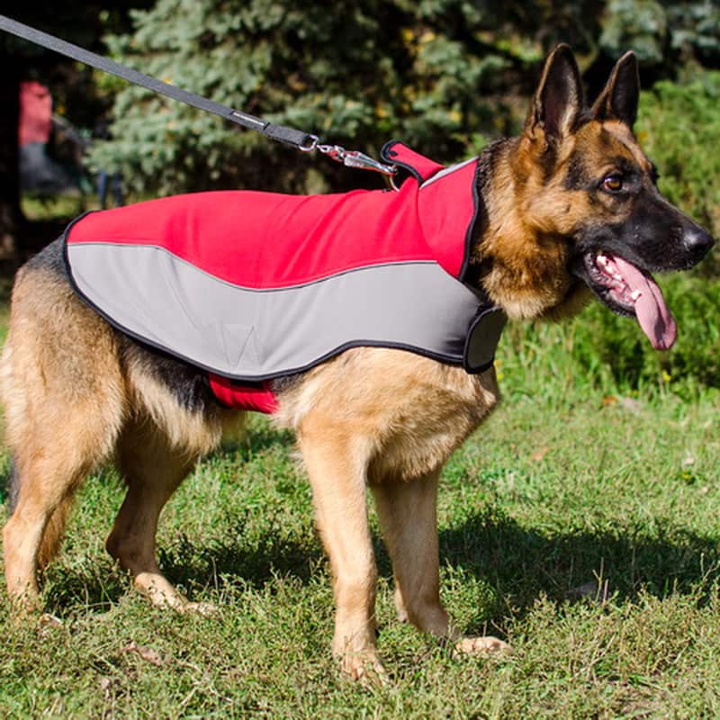 Нейлоновая шлейка накидка для немецкой овчарки «Raincoat Cape»